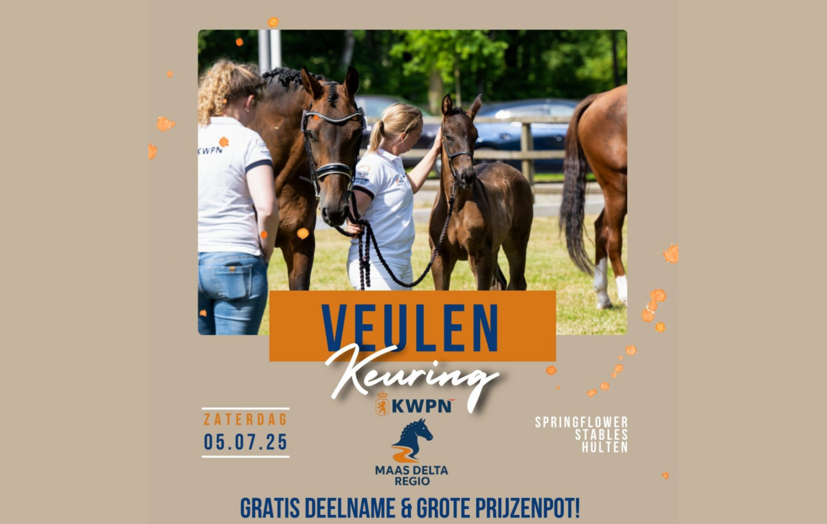 Veulenkeuring Maas Delta Regio in Hulten op 5 juli 2025