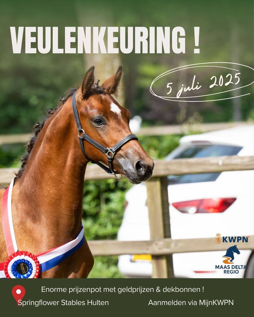 Veulenkeuring Maas Delta Regio