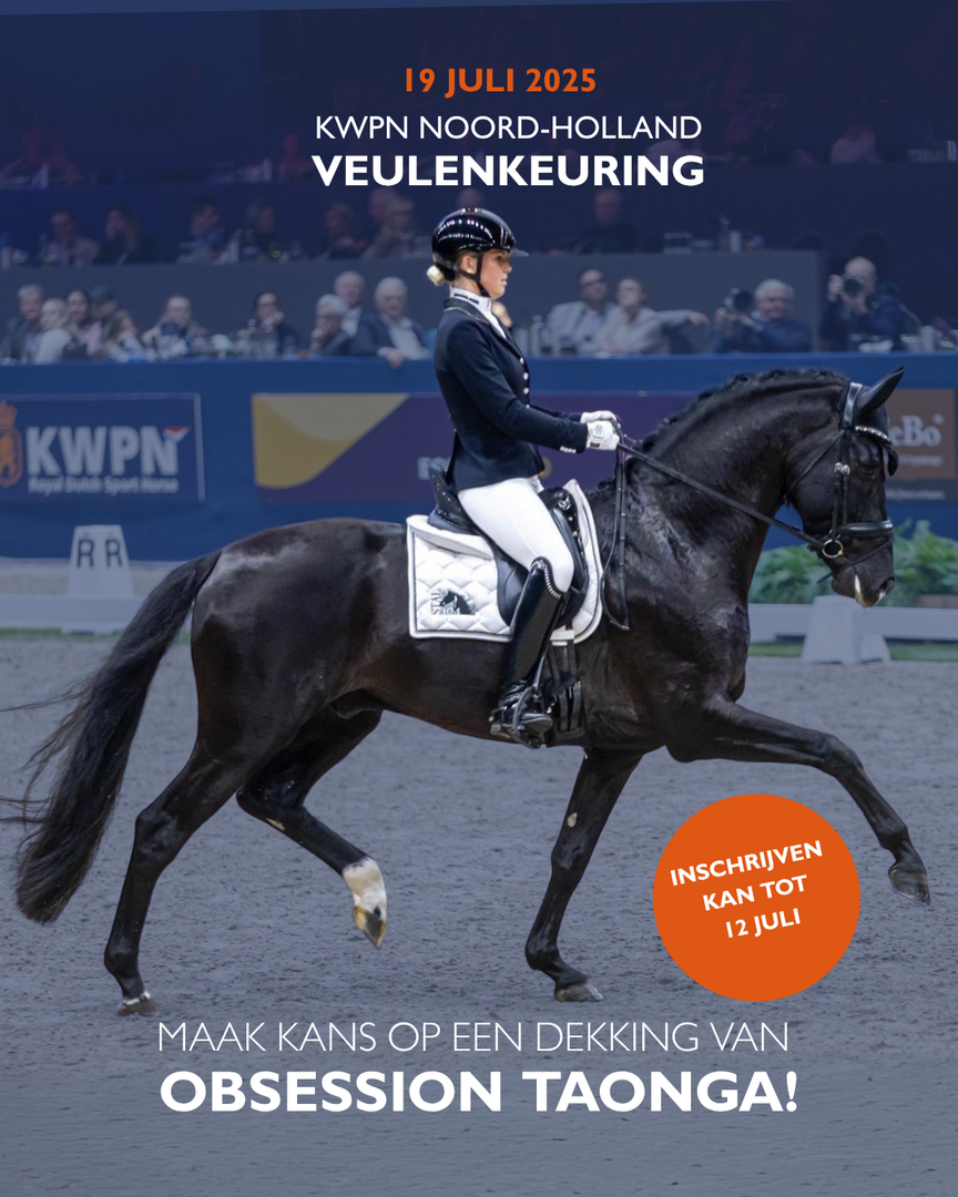 Veulenkeuring 19 juli