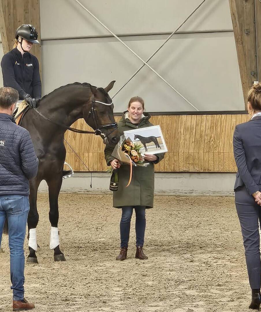 Drie hengsten uit KWPN Regio Utrecht goedgekeurd