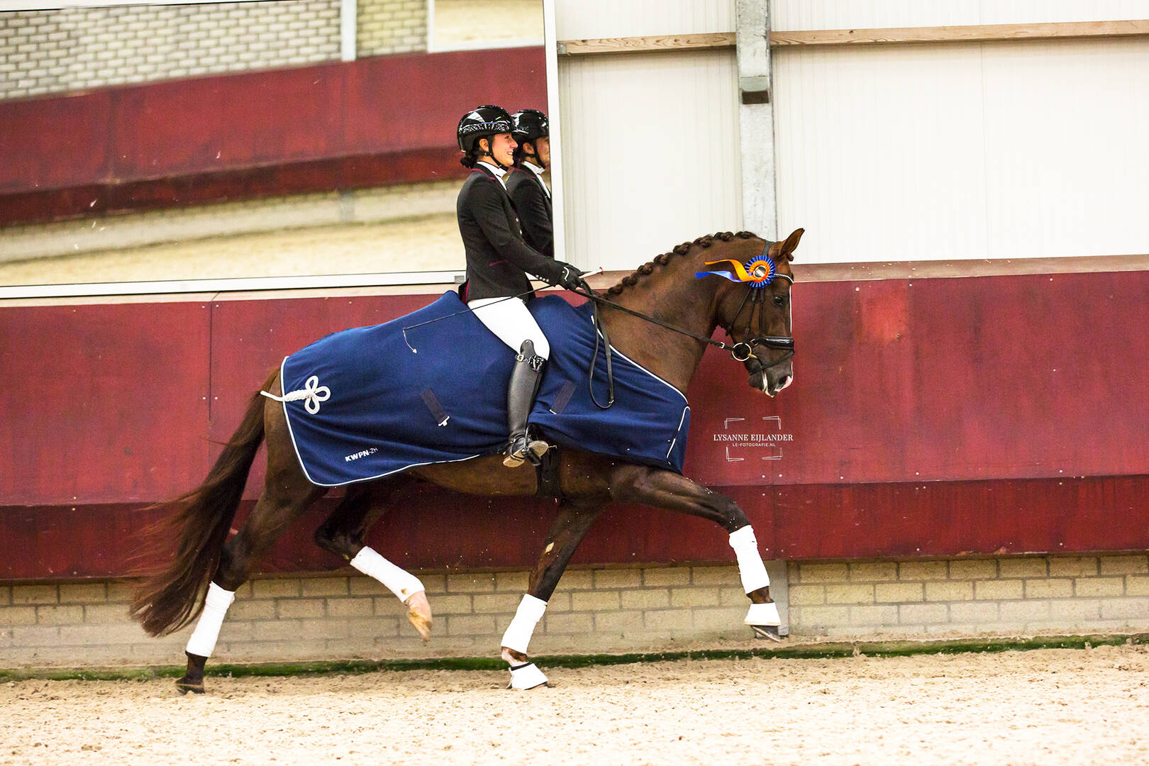 KWPN Zuid-Holland DRESSAGE CUP 17 november 2024 te Den Hoorn