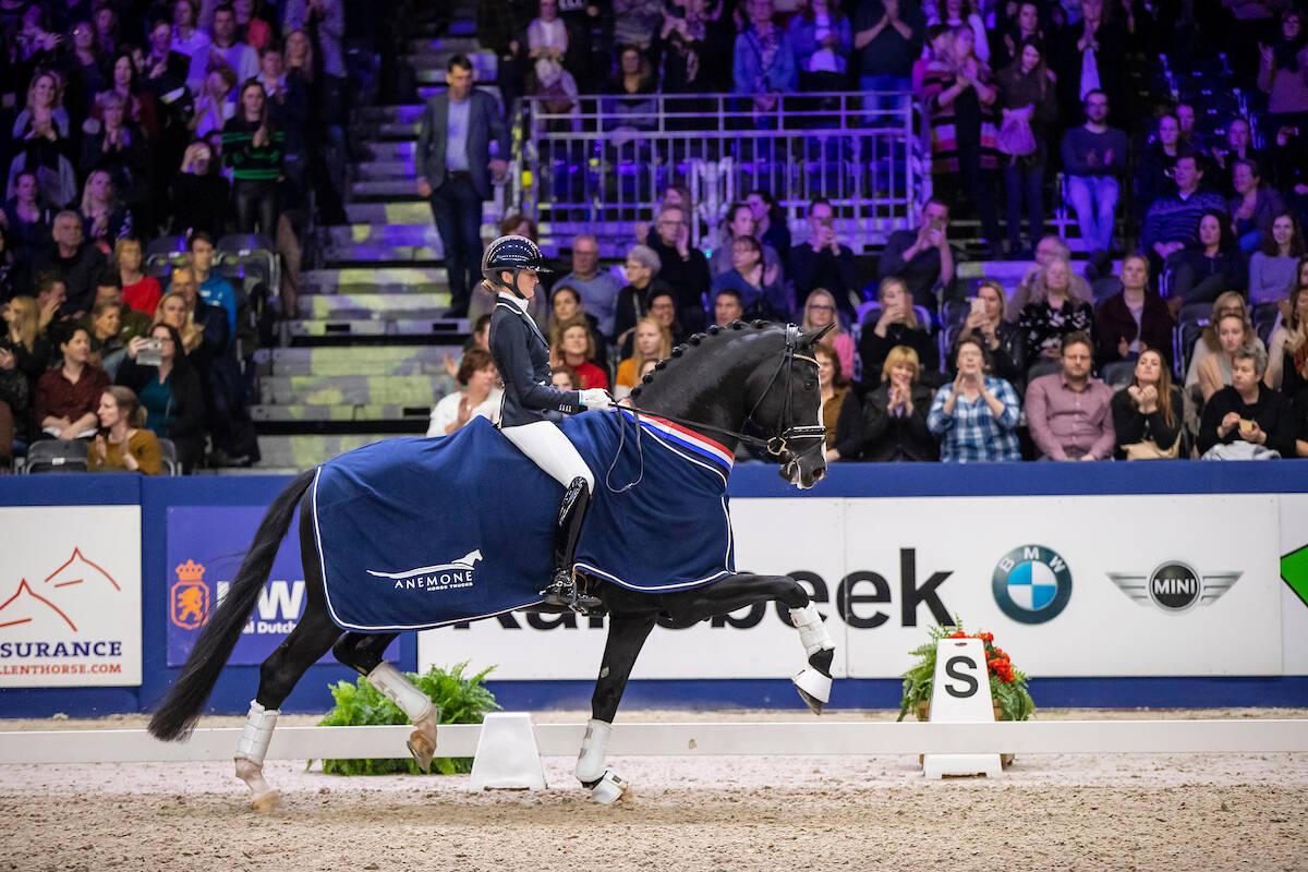 Data hengstencompetities 2024/2025 bekend