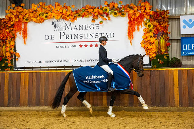 Zelfgefokte Romantic Secret wint VWF Prinsenstad Dressuur 2024