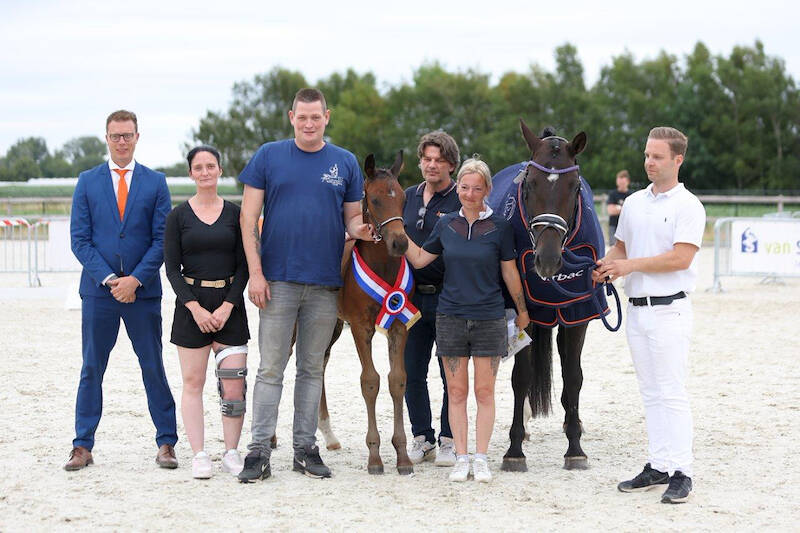 VK België: kampioen Vayen Dior, vier veulens naar de NVK