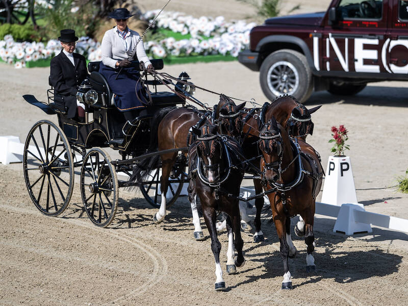 World Championship Four-in-Hand Driving: Anna Sandmann in the lead with four KWPN horses