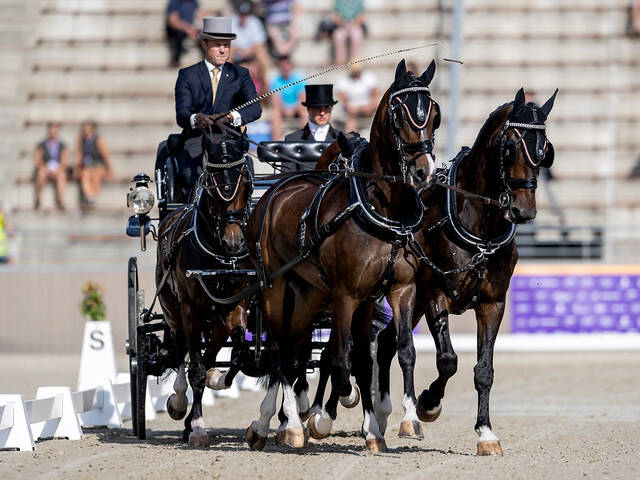 WC Four-in-Hand Driving: Gold for TeamNL and silver for Bram Chardon