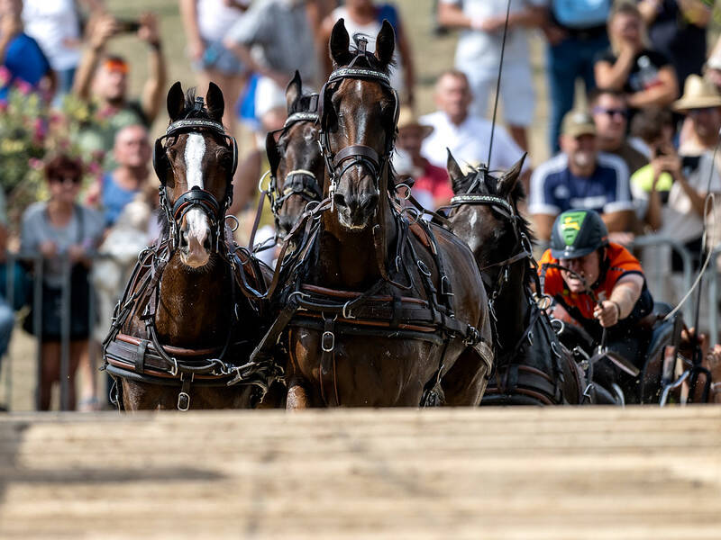 WK Vierspannen: Team NL vooralsnog aan de leiding