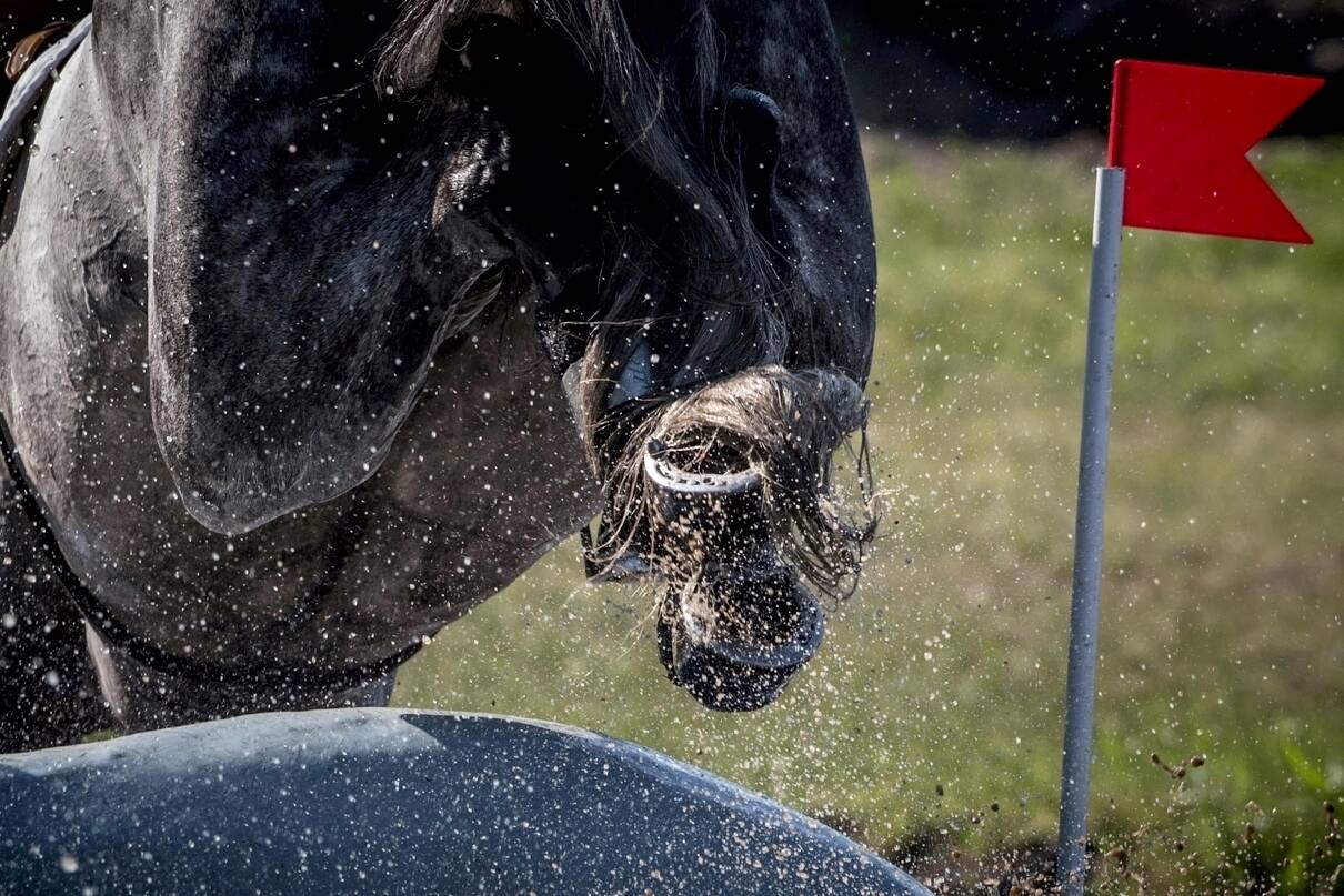 Dakar VDL-zoon DHI Kevin G wint CCI3*-L in Florida
