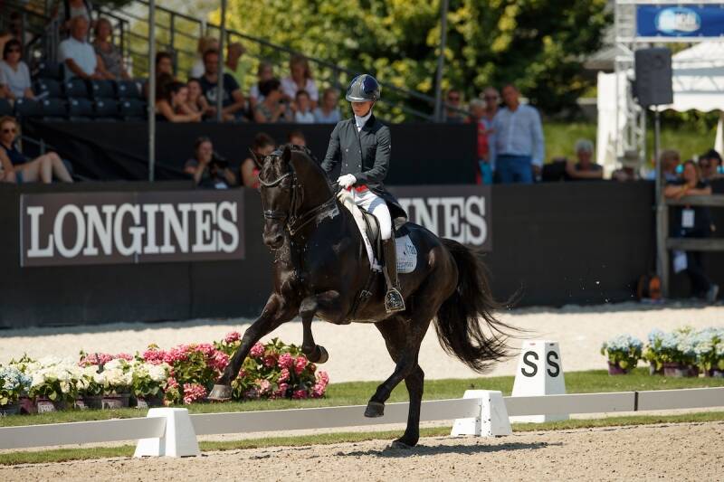 Meet the champions at the WC for Young Dressage Horses