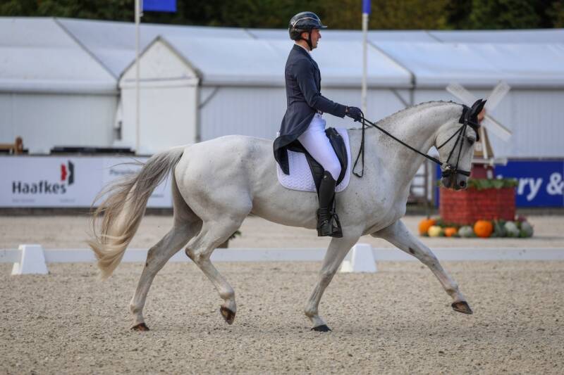 Boekelo: Kojak en Georgie Goss zeventiende na dressuur