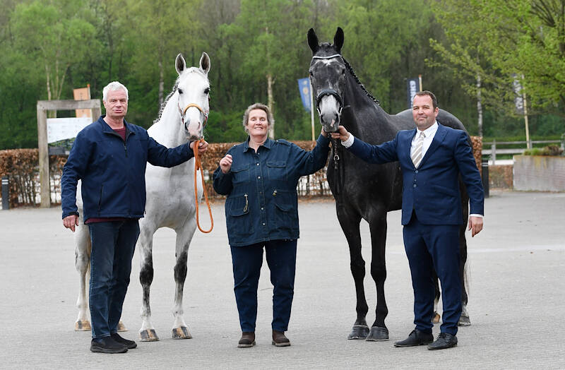 Rosa Larenda J naar hoogste score in IBOP Gelders paard