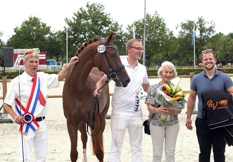 CK Drenthe: Santorini Dieni GDH fantastische dressuurkoningin