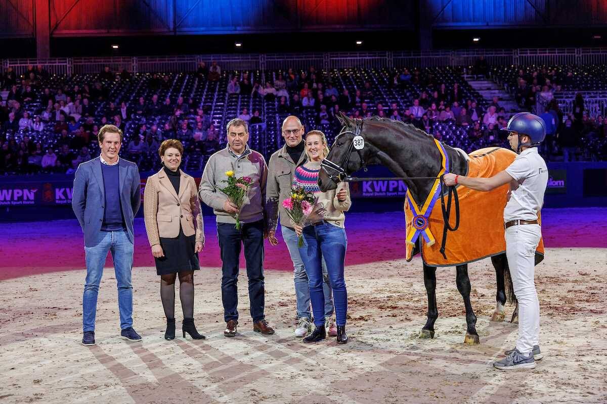 Rayano: Van KWPN Select Sale-veilingtopper tot KWPN-goedgekeurde hengst