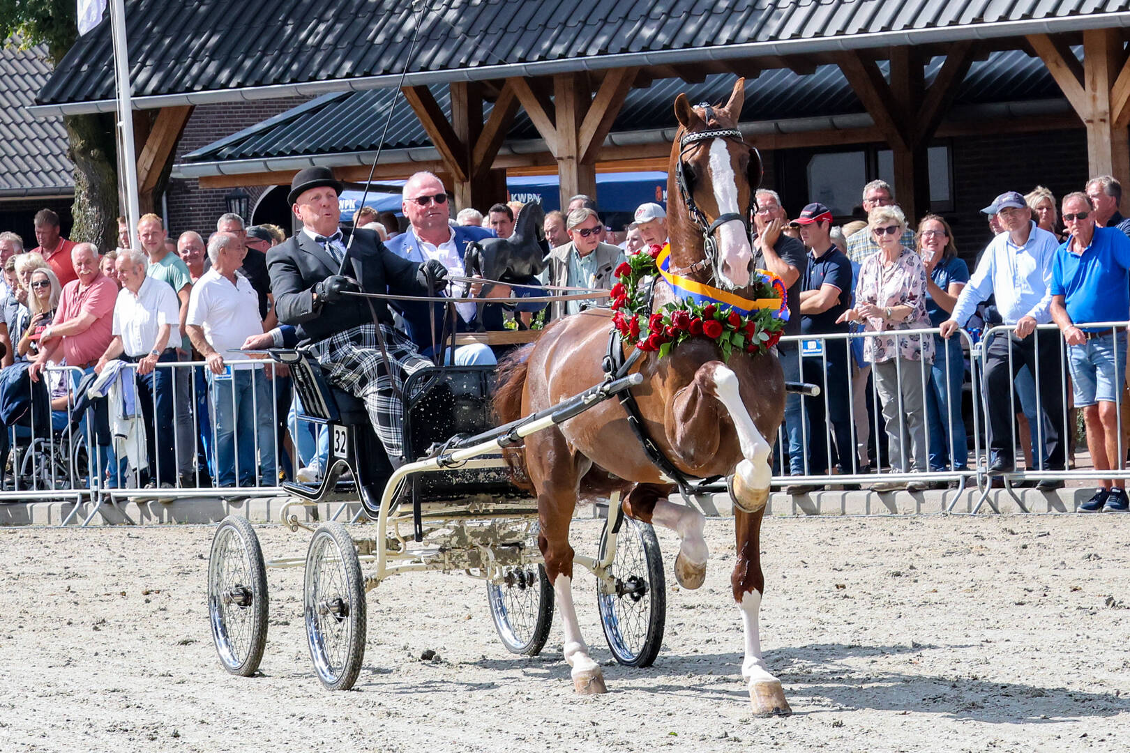 Macho Leading Sire at National Harness Horse Day