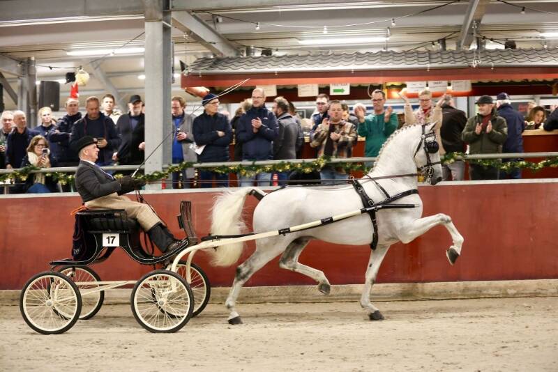 HK TP: Magnifiek wint eerste Publieksprijs