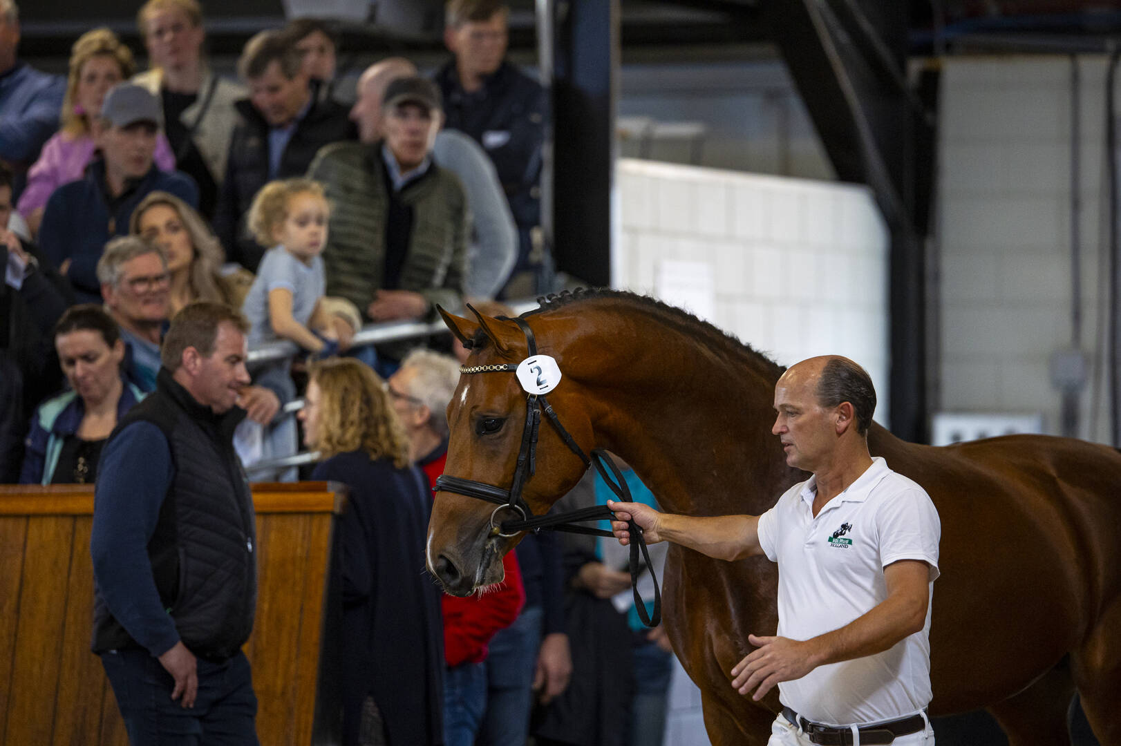 Horses2fly zorgt dat paarden veilig en soepel de wereld over gaan