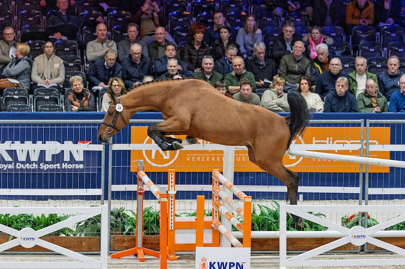 Celtic VDL (v.Chatinue) selected for championship inspection