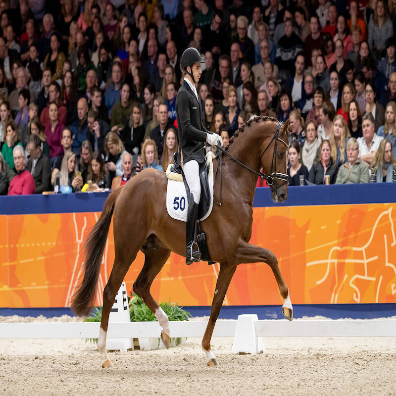 Van Uytert en Brouwer investeren in Glock’s King Karim
