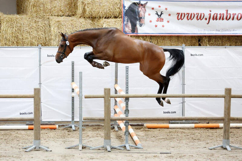 SK Appingedam: Twee springmerries naar 80/85 en uitgenodigd voor NMK