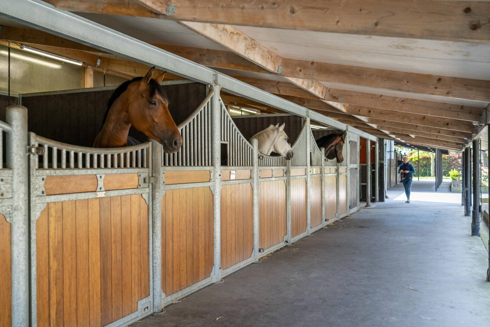 Exclusive living and business opportunities in the equestrian heart of the southern Netherlands
