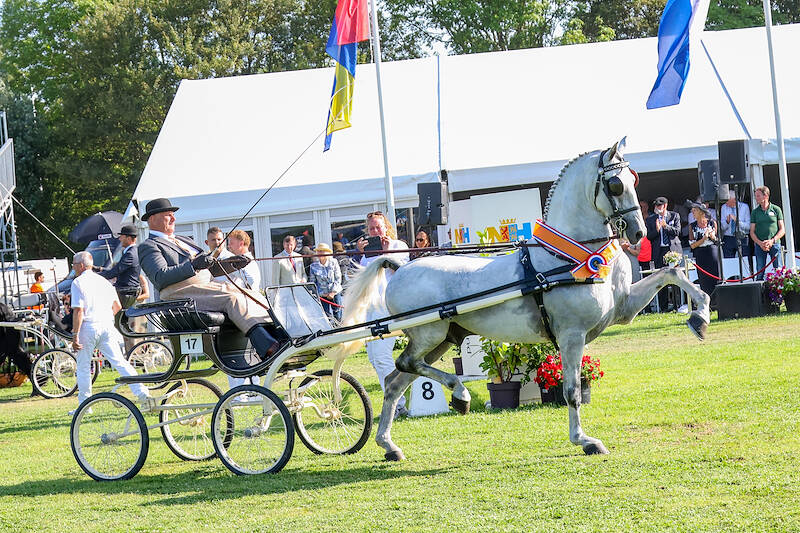 Magnifiek voor derde keer kampioen dekhengsten