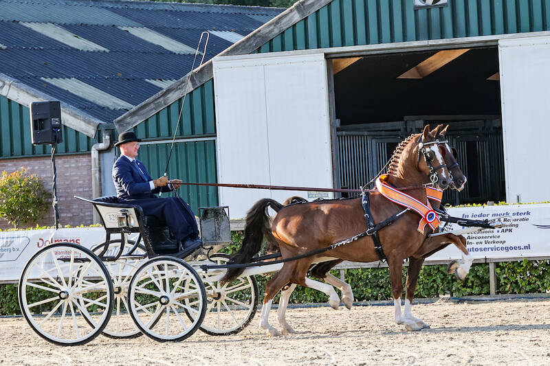 Gerran PSH en Jack Daniël's Nederlands Kampioen tweespannen