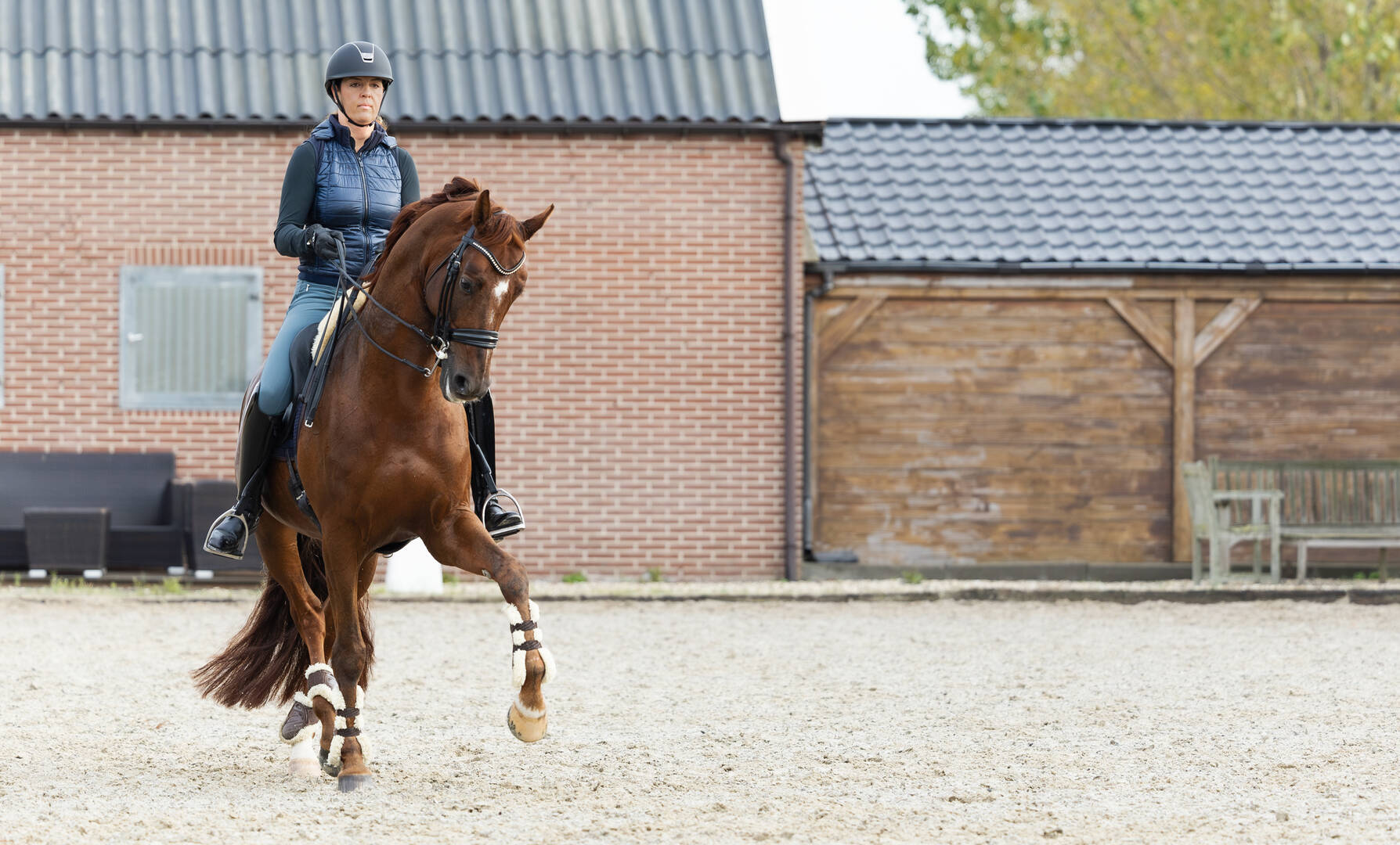 KWPN Magazine | Dominique Filion: "Werken met paarden blijft het meest fantastische dat er is"