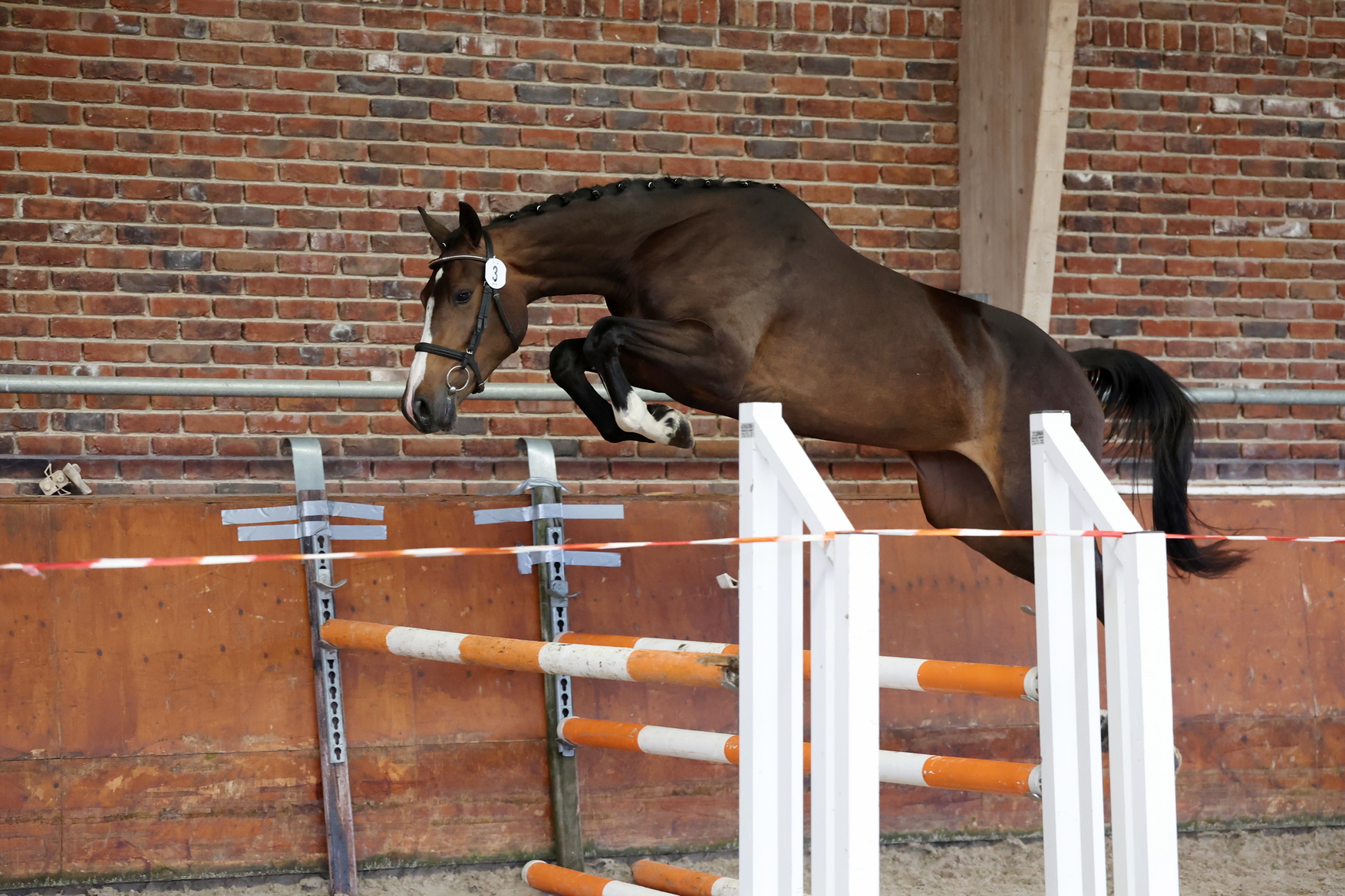 NMK-ticket voor Balou du Reventon-dochter op SK Haaksbergen