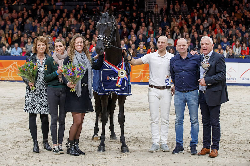 Kampioenskeuring keert terug op KWPN Stallion Show