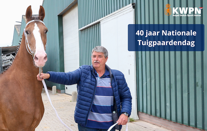 40 jaar NTD | Willem Ruinemans: "De tuigpaardendag is een feest voor mensen met en zonder paarden"