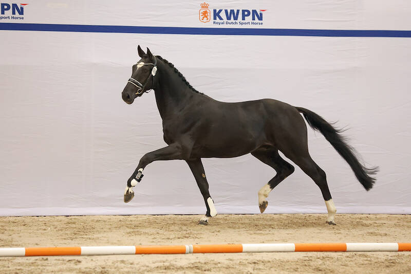 KSS-referentie Tycoon succesvol in Verenigde Staten