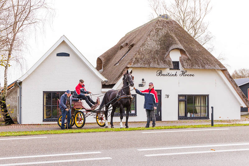 KWPN Magazine | Ties Buitink: “Met een Gelders paard kun je alle kanten op”