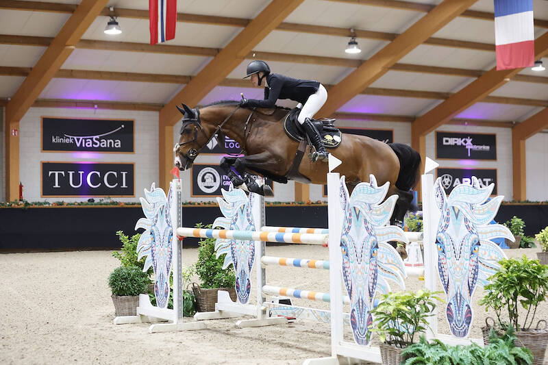 HC Kronenberg: klasse M op naam van Tattoo H&DB TN