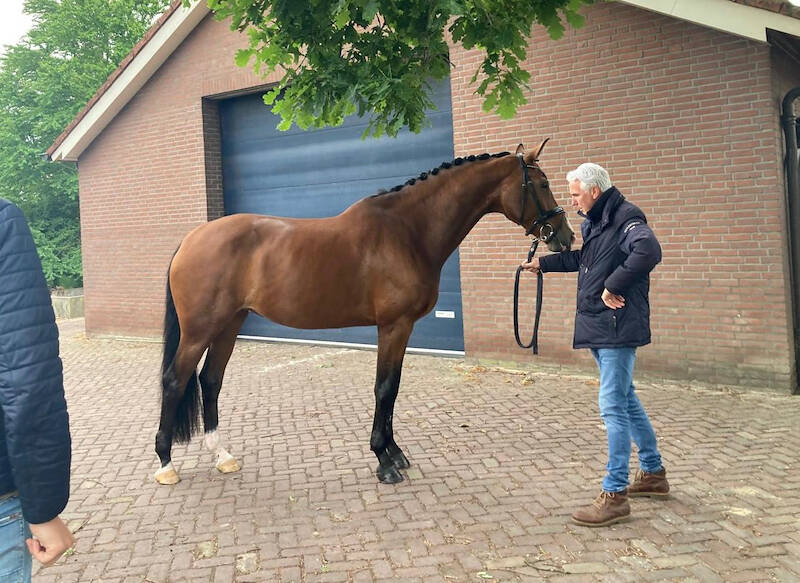 Twee sportmerries ster op Brabantse thuiskeuring