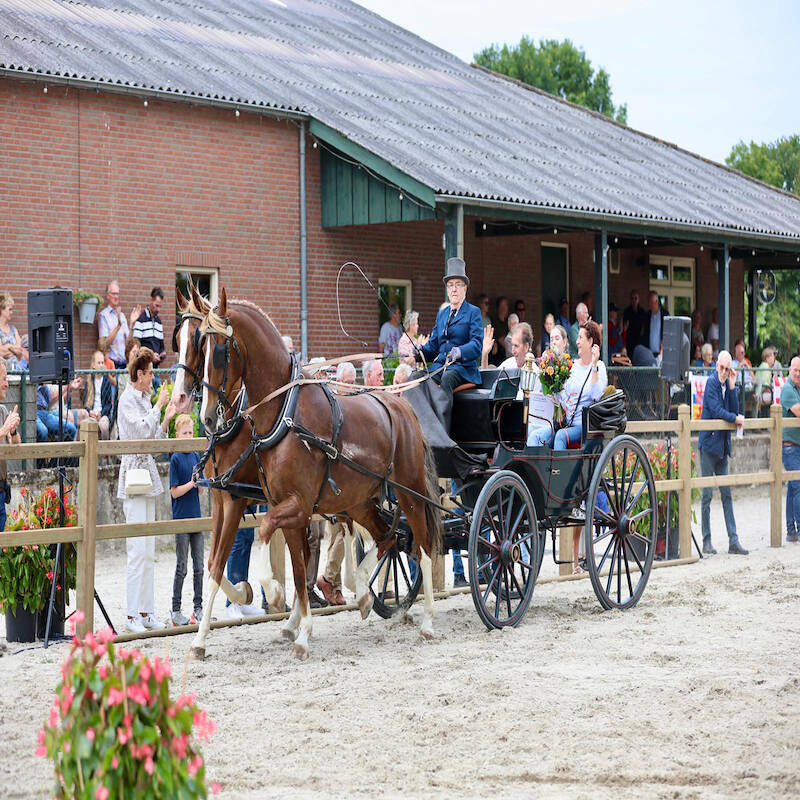 Regionale erkenning middels Brabant Cup voor Adri van Erp