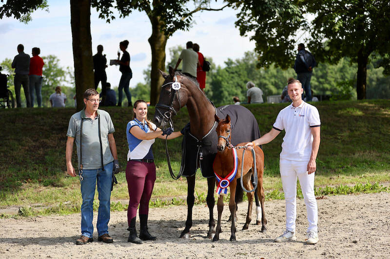 CK Ermelo: halfzus One Million veulenkampioen
