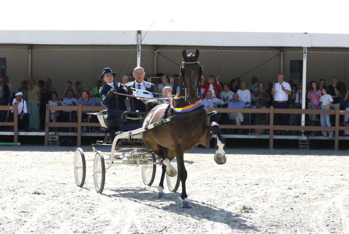 Margriet van Asselt wint Renovo Schaal met Mondiaal PSH