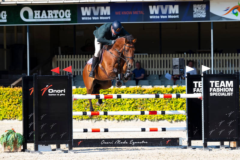 Arezzo VDL Produces Three Finalists in Six-Year-Old Category
