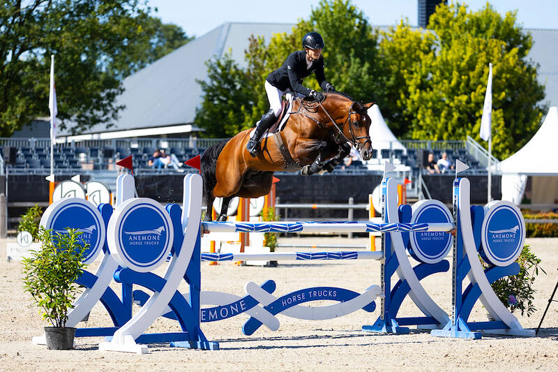 VDL Stud domineert met Night Life en New Pleasure VDL