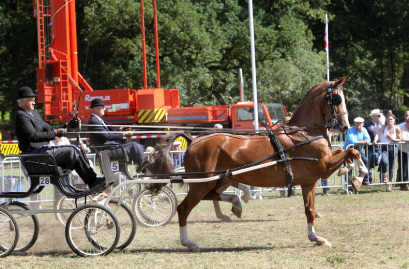 Amadeus neemt afscheid van de sport op NTD