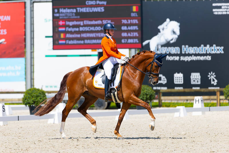 EK dressuur jeugd: Goud voor ZINQ Hugo FH, drie zilveren medailles voor TeamNL