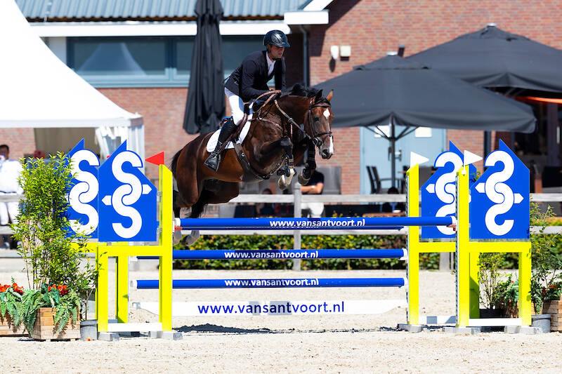 Ovinio (by Ipsthar) Unbeatable in Second Round of Five-Year-Olds