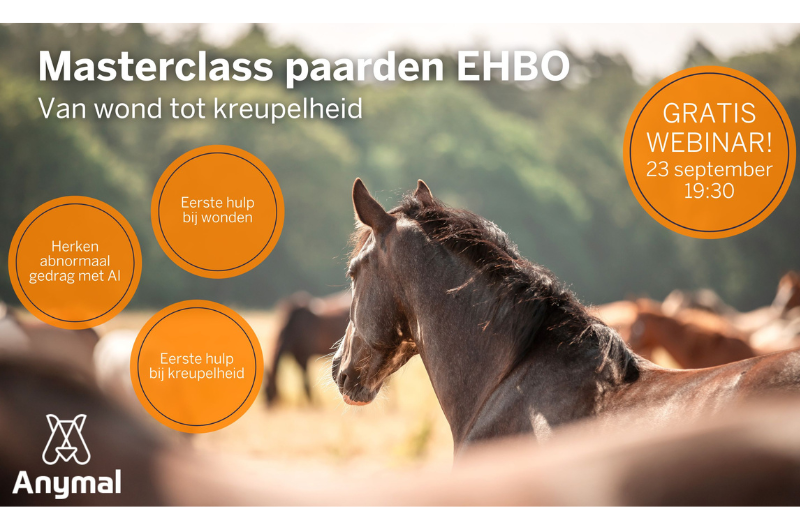 Leer alles over paarden-EHBO in gratis webinar op 23 september