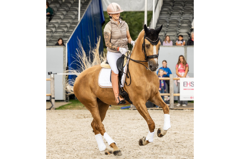 Melotti Texel maakt reclame voor Gelders paard tijdens Horse Event