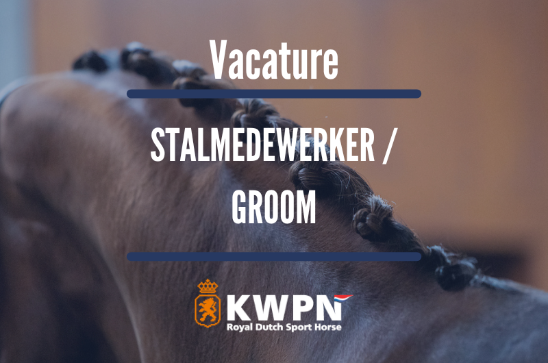Vacature: stalmedewerker / groom KWPN-centrum