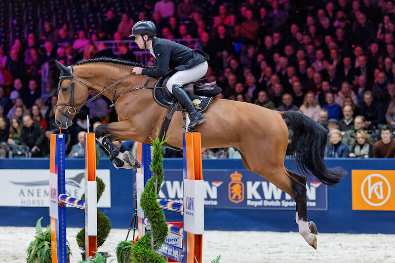 Natural talent Drummer 2000 TN Z claims the Stallion Competition class 1.10 title