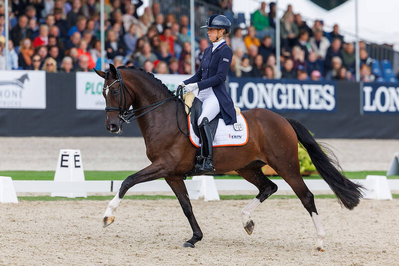Kirsten Brouwer: “Het WK Jonge dressuurpaarden, daar wil je gewoon graag bij zijn!”