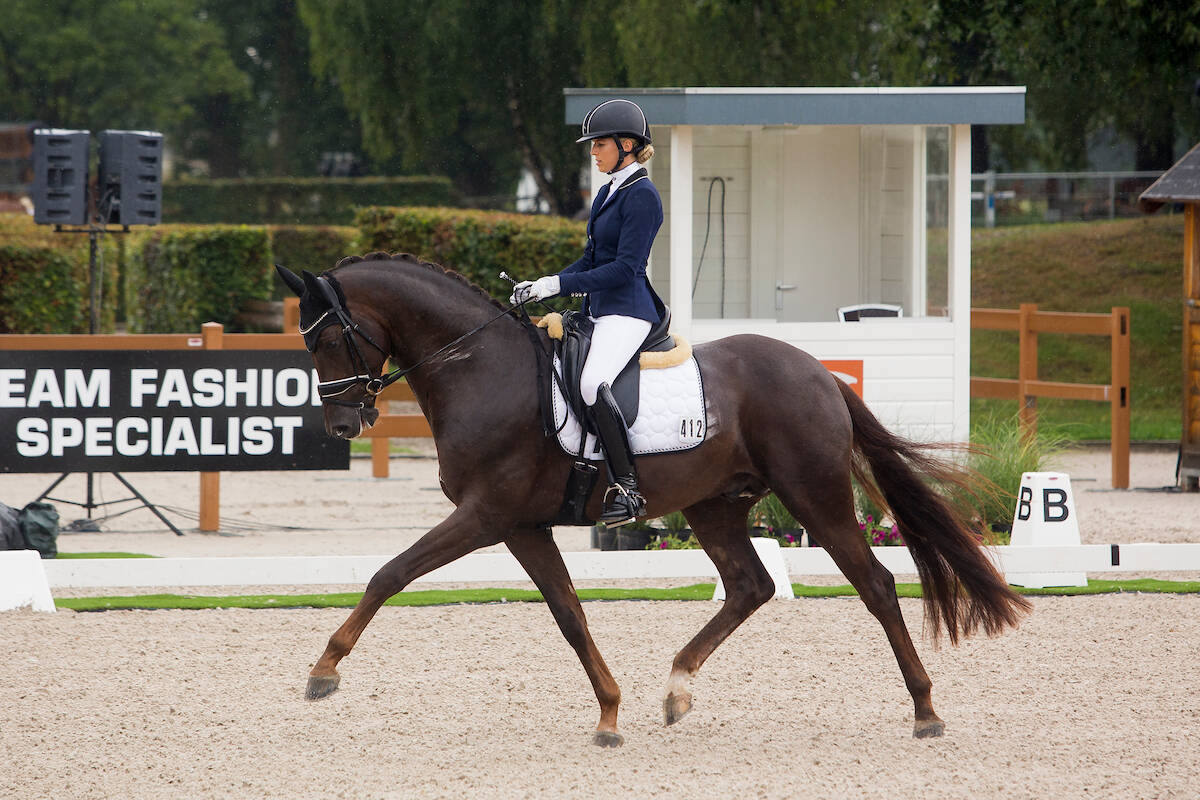 KWPN-gekeurde Kilimanjaro wint nationale Grand Prix