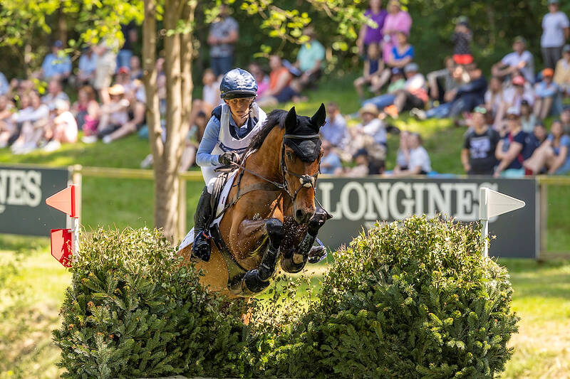 KWPN Magazine | Izilot DHI: Scherp en talentvol