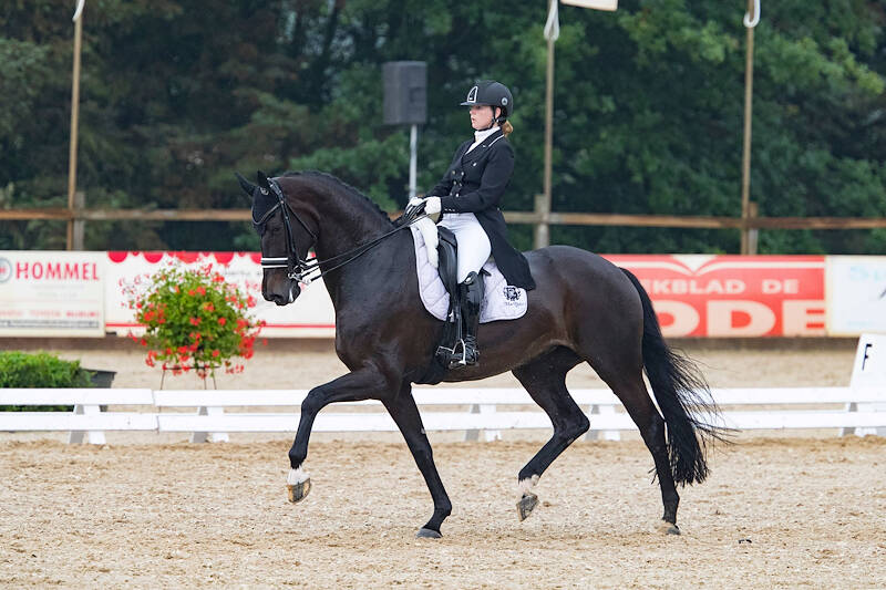 KWPN Magazine | Van sport komt sport: Anne